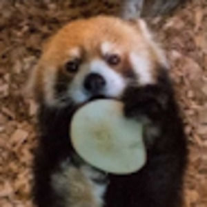 Meet your Posher, Sophie